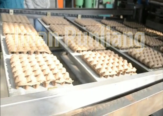 Capacidade grande linha de produção reciclada tipo da bandeja do ovo da polpa economia de energia de Rotray