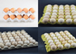 Operação fácil de papel favorável ao meio ambiente da máquina de molde da polpa da máquina da bandeja do ovo