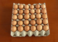 Linha de produção automática das bandejas da embalagem de ovo de Tray Making Paper Pulp Molding do ovo com o estábulo da saída 700pcs/h consecutivamente
