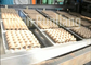Linha de produção de papel barata bandeja da bandeja do ovo do ovo que faz a máquina com estufa de tijolo