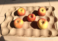 Bandeja de Apple do papel/bandeja do fruto que faz o elevado desempenho da válvula de Alemanha da máquina