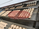 Fruto seco Tray Egg Tray Equipment de Disposable Paper Molded do fabricante