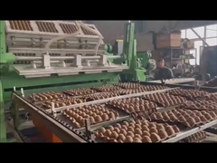 3000 partes do fabricante automático de Tray Forming Machine Egg Tray da polpa