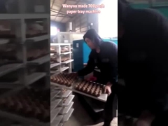 Reciprocando o tipo ovo de papel Tray Making Machine, ovo Tray Production Line