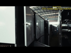 380V/220V/Máquina para fazer bandejas de ovos personalizadas com forma rotativa e recíproca Garantia de 1 ano