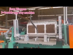 Máquina automática para fazer bandejas de maçã com moldes de aço inoxidável