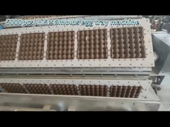 Ovo Tray Production Line