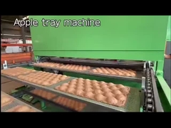 Máquina de fabricação de caixotes de ovos de pasta de alta eficiência, máquina de fabricação de bandejas de frutas