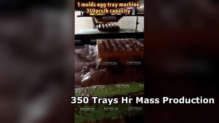 Produção em massa da máquina 3000pcs hora da bandeja do ovo