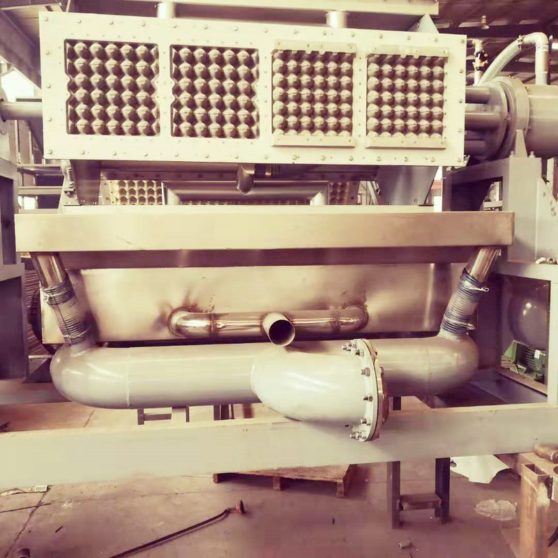 Máquina rotativa de papel de ovos 2000-3000pcs/H Máquina de moldagem de polpa laranja e verde para cartão de papel de ovos / fabricação de bandeja