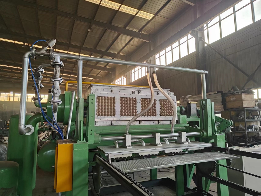 Produzir por amostra máquina de bandeja de ovos rotativa tipo rotativo papel reciclado