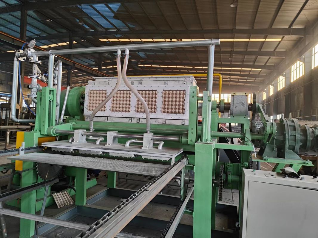 2500pcs/h 4*4 Moldes Máquina de papel rotativo para bandeja de ovos Controle por PLC e Material de molde de plástico para produção de bandeja de ovos