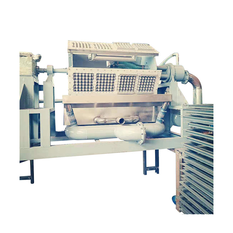 Máquina de fabricação de caixotes de ovos ecológicos