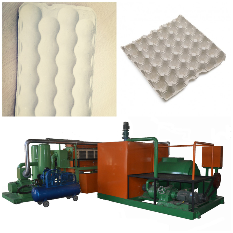 700-5000pcs/H Máquinas de moldagem de celulose Processamento de aço Cartão de ovos Dispositivo de fabricação para produção sem costura