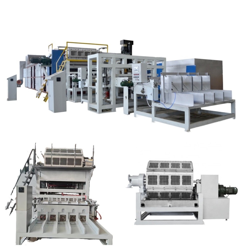 Durabilidade 1000-6000 peças/hora máquina de bandeja de ovos caixa de ovos máquina de fabricação e plano desenhos de layout