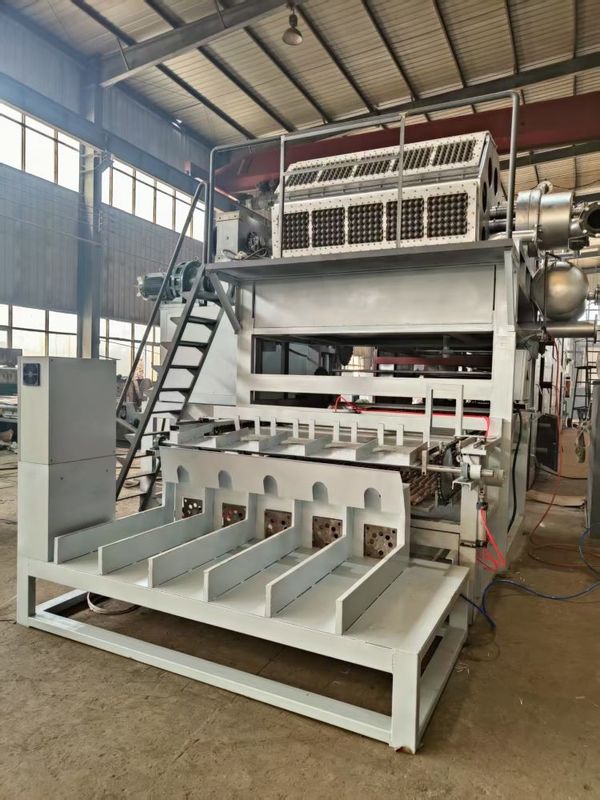 Máquina de moldagem de pasta de papel de linha de produção totalmente automática 5000pcs/h Capacidade 5*8 moldes