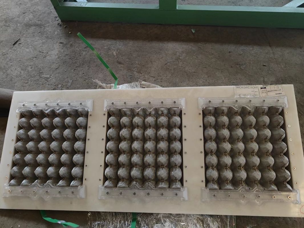 Máquina semiautomática de embalagem de ovos de papel 1000pcs/h Linha de produção automática de caixas de ovos