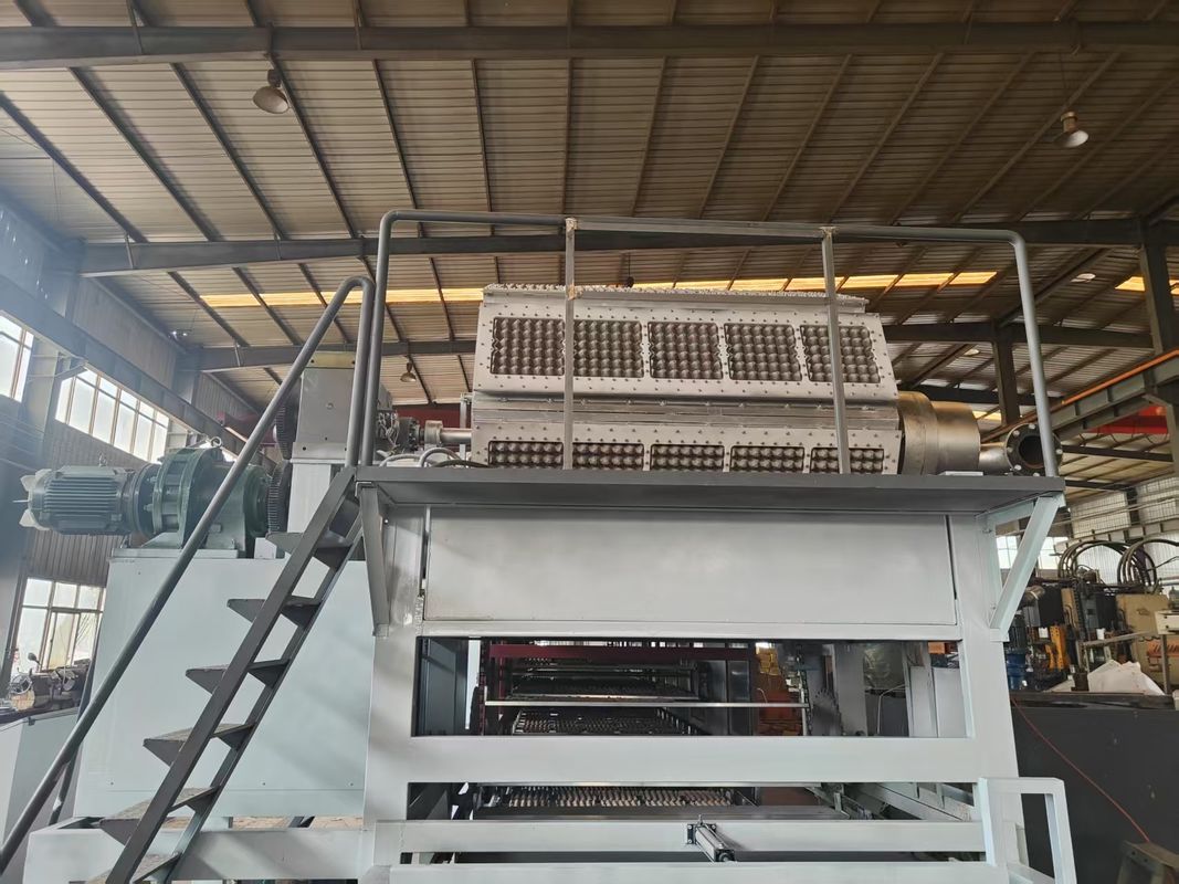 5000pcs/h Linha de produção de bandejas rotativas de ovos Incorporando tecnologia automática de empilhamento e secagem para fabricação simplificada controlada por PLC