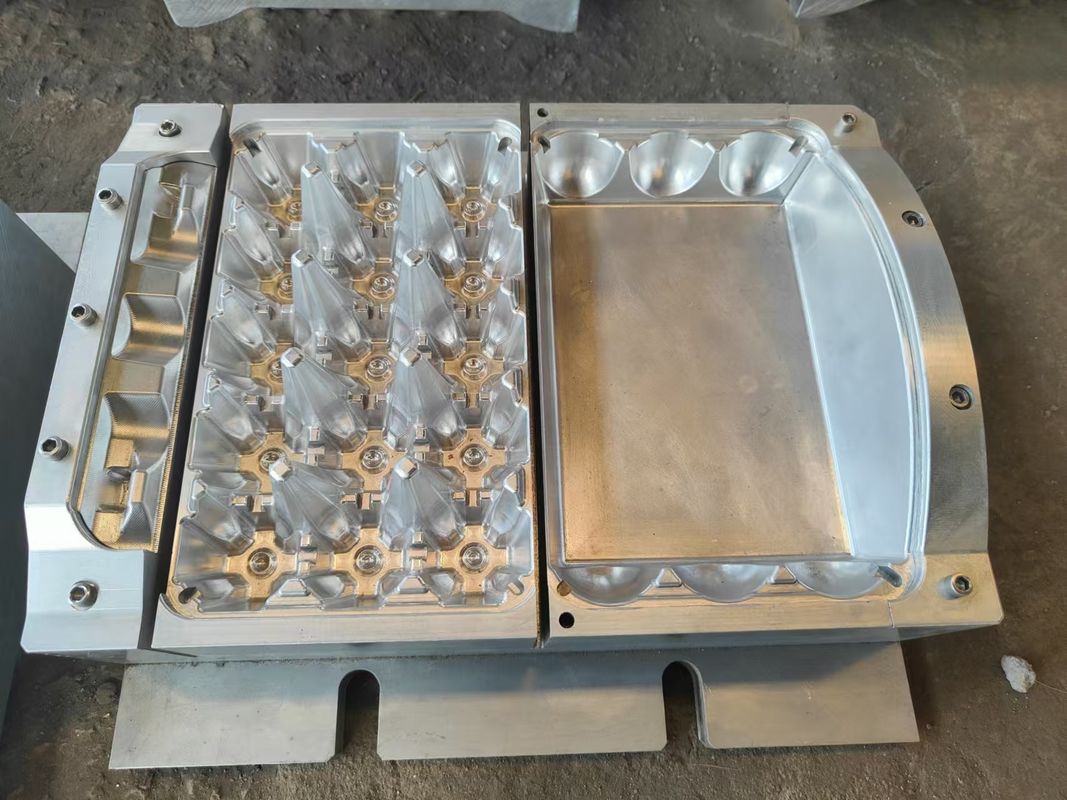 Sistema de produção de linha de produção totalmente automática de máquina de bandeja de ovos que combina tecnologia de economia de energia e construção durável para a produção