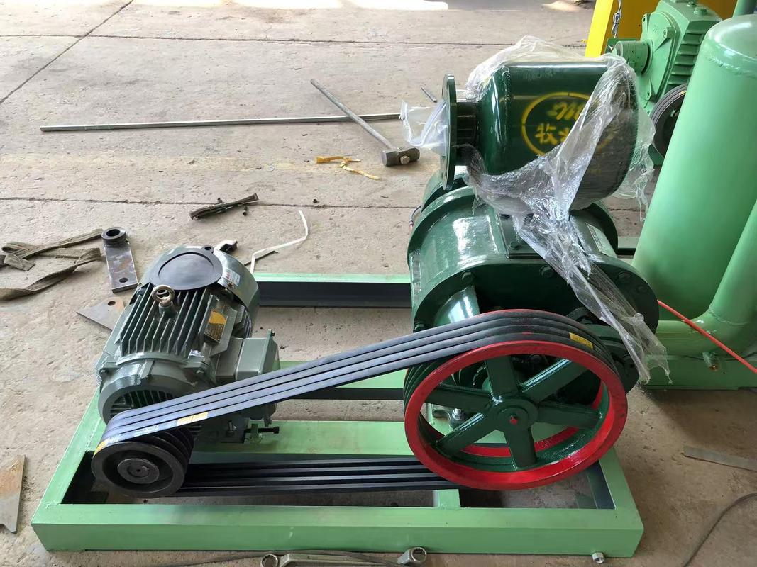 1000pcs/h Máquina semiautomática de colocação de ovos / Máquina de fabricação de bandejas de maçã estrutura simples velocidade ajustável controlada por PLC