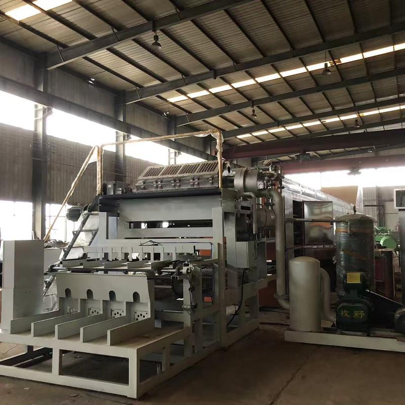 Máquina de fabricação de bandejas de ovos totalmente automática que suporta tamanhos de moldes personalizados e mudança rápida para diversas necessidades de embalagem 2500-3000pcs / h Controle PLC