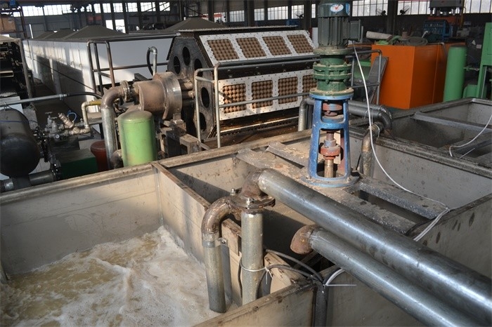 Ovo giratório Tray Making Machine do papel de polpa da máquina de Tray Machine Waste Paper Recycling do ovo