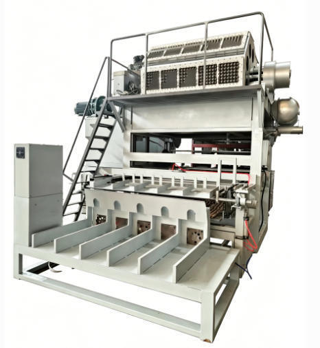 Linha de produção de bandejas de ovos de alta capacidade com sistemas completos de secagem e empilhamento para a produção de pasta, produzindo 5000 bandejas de papel por hora