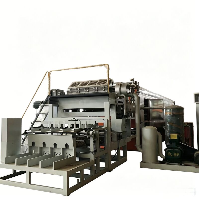 WANYOU WY-5 Máquina rotativa de bandeja de ovos Linha de produção de cartão de ovos 2000-3000 pcs/h Moagem de pasta de papel reciclado para fazenda de aves de capoeira venezuelana