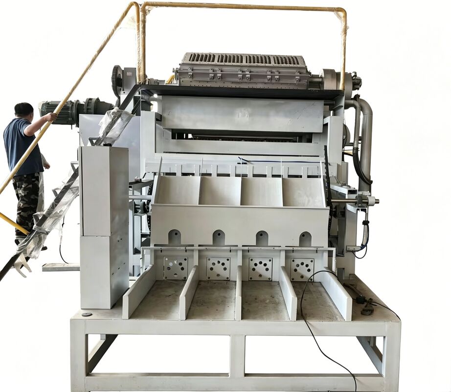 WANYOU WY-5 Máquina rotativa de bandeja de ovos Linha de produção de cartão de ovos 2000-3000 pcs/h Moagem de pasta de papel reciclado para fazenda de aves de capoeira venezuelana