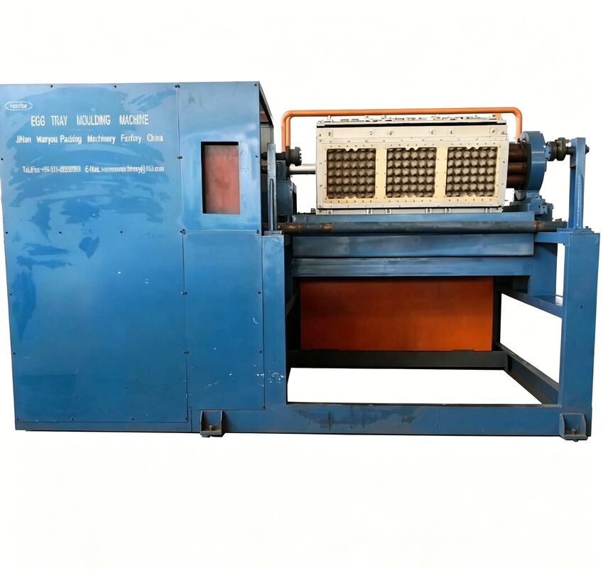 WANYOU WY-5 Máquina rotativa de bandeja de ovos Linha de produção de cartão de ovos 2000-3000 pcs/h Moagem de pasta de papel reciclado para fazenda de aves de capoeira venezuelana