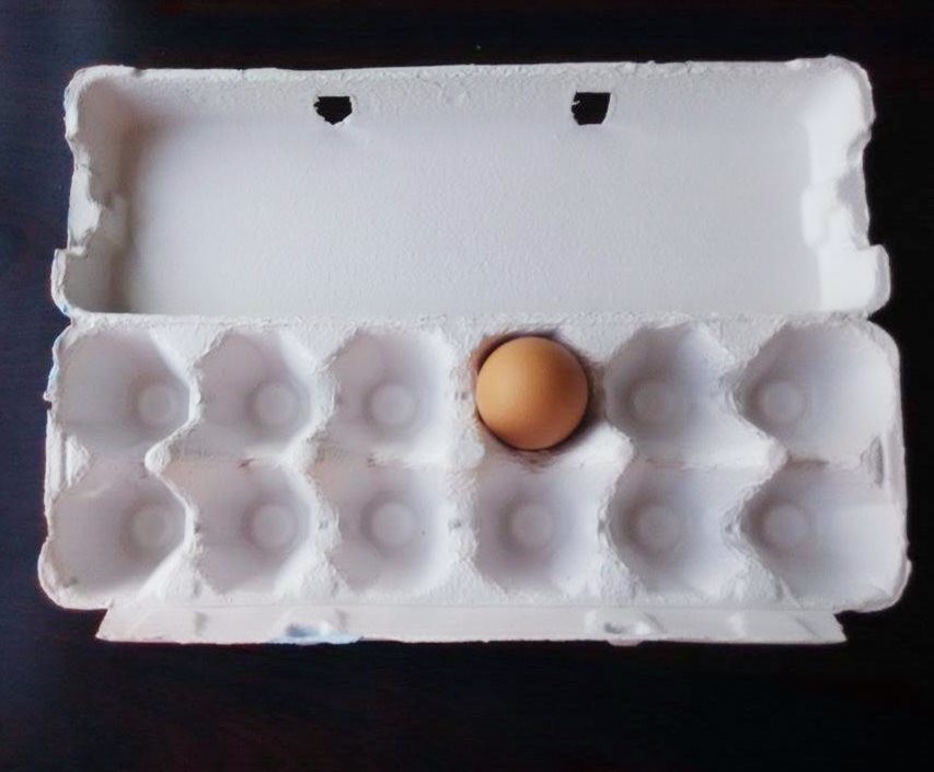 Máquina de Moldagem de Bandejas de Ovos de Celulose de Papel Pequena Semi-Automática Com Sistema de Pulpação Controlada por Computador PLC
