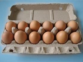 Máquina de Bandeja de Ovos de Celulose de Papel Descartado Linha de Produção de Caixas de Ovos Máquina de Fabricação Para Embalagem de Ovos 350pcs/h-3000pcs/h