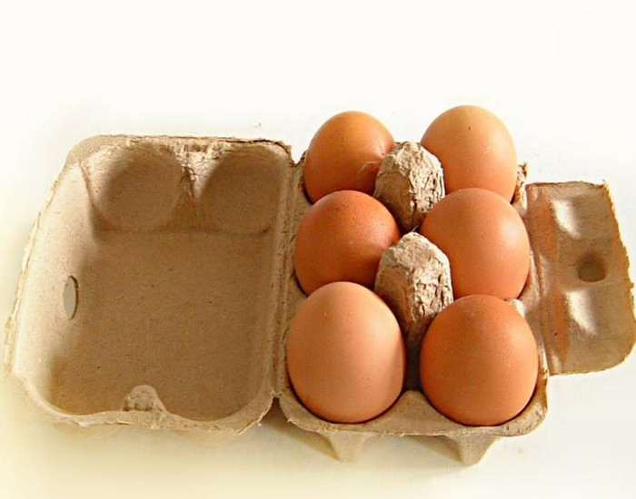 Papel de resíduos Máquina de bandeja de ovos automática e totalmente automática Estrutura compacta Fácil de operar Vários modelos de bandeja de papel