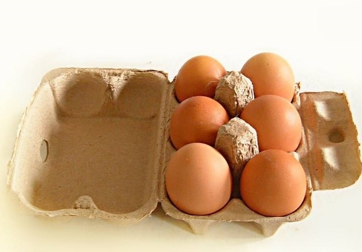 Máquina de fabricação de bandeja de fruta de papel de maçã bandeja de ovo máquina de fabricação de cartão de ovo máquina de moldagem de celulose máquina com manutenção de longa duração