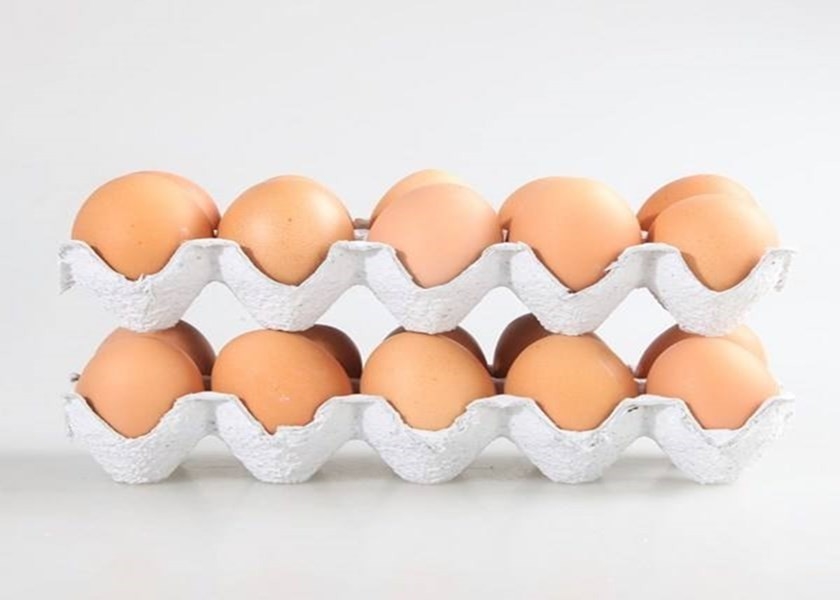 Home Negócios Máquina de produção de bandejas de ovos Linha de produção de papel máquina de moldagem de pasta de ovos máquina de cartão com válvula da Alemanha