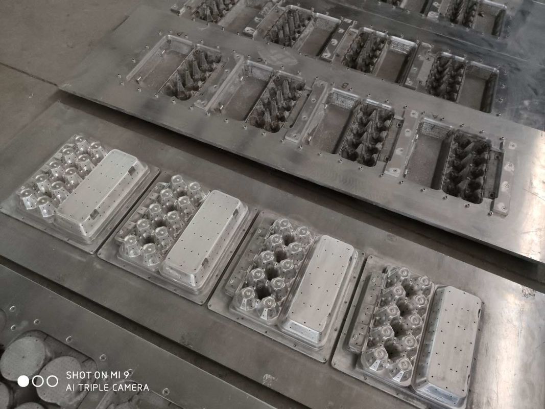 Molde de papel da polpa da cavidade da máquina 20 da bandeja do ovo para produtos moldados da polpa