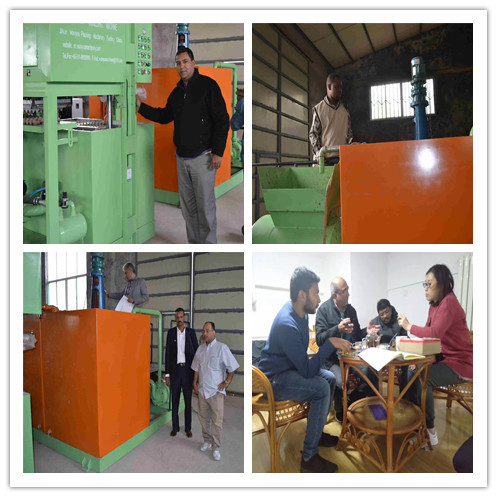 PLC controlado 1300pcs linha de produção de bandeja de ovo máquina bandeja de ovo 380V 50hz