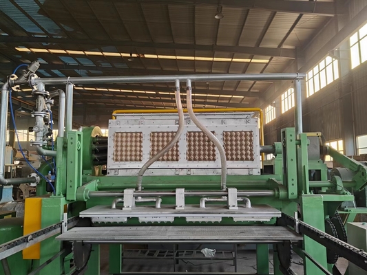 Consumo de papel do papel da aprovação 300kg/H do CE de Tray Machine do ovo da caixa ondulada