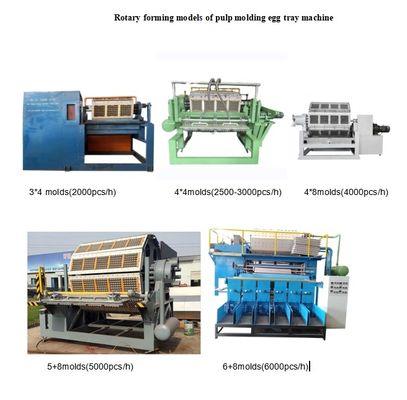 Linha de Produção de Bandejas de Ovos Totalmente Automatizada com Painel de Controle Inteligente e Sistema de Secagem para Aumento de Produtividade Máquina de Fazer Bandejas de Ovos Capacidade 700-6000 unidades/h