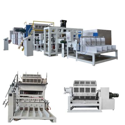 Nova Máquina de Bandeja de Ovos de Papel Reciclado Automática WANYOU Máquina de Moldagem de Polpa Painel de Tela de Toque com Controle PLC Rolamento Motor Engrenagem