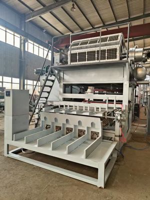 Fully Automatic 5x8 Molds Paper Egg Tray Machine 5000pcs/h