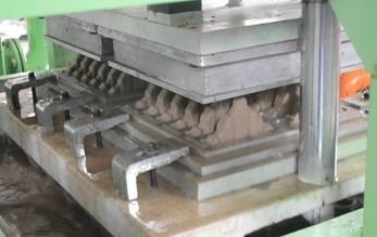 2 moldes que formam o controle de computador da máquina de fatura de caixa de papel da bandeja do ovo