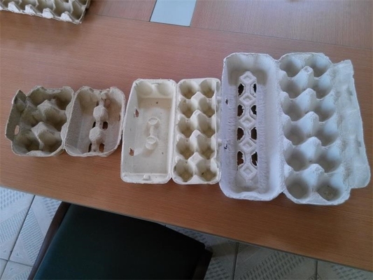 Reciprocando o tipo linha de produção capacidade pequena da bandeja do ovo da máquina de molde da polpa