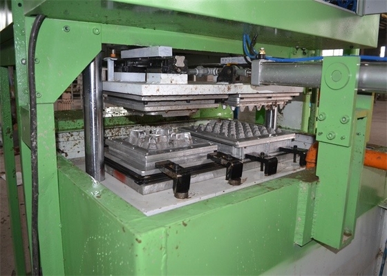 Bandeja semi automática do ovo da máquina de molde da polpa que faz a máquina controlada por computador