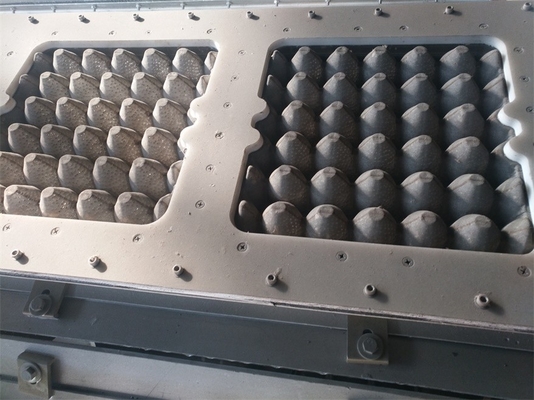 Alumínio personalizado que forma moldes para a máquina de fatura da bandeja/caixa do ovo