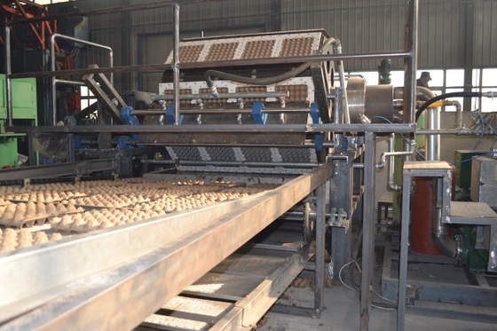 Fabricante Waste automático completo da caixa do bloco da máquina/ovo da bandeja do ovo com moldes de alumínio