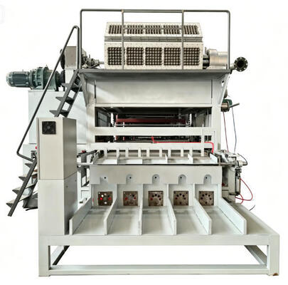 Máquina rotativa de papel para bandeja de ovos, linha de produção de caixa de ovos, 5000 unidades/h, moldagem de polpa de papel reciclada para avicultura mexicana