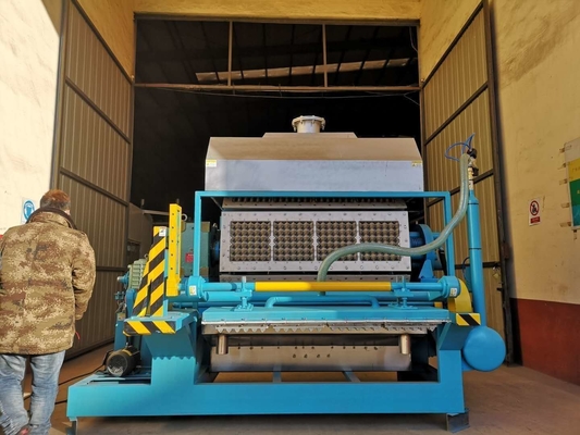 Máquina de formação giratória da bandeja do ovo, máquina de fatura de caixa do ovo vida útil longa