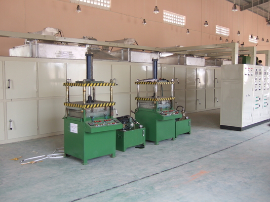 Reciprocando o tipo 30 ovo Tray Production Line Fully Automatic da caixa