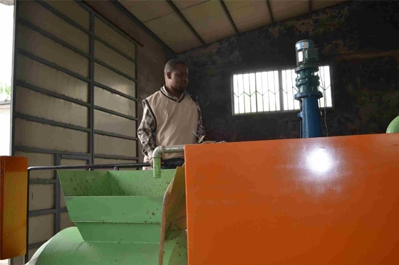 Exploração agrícola pequena de Tray Making Machine For Chicken do ovo da papelada reciclável